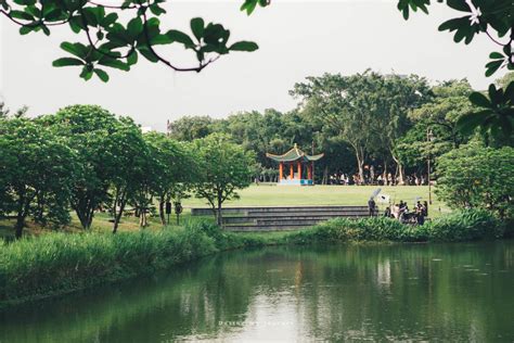 台北磁場好的地方|南港公園